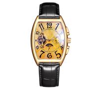 RORIOS Men Automatic Tourbillon Skeleton Dial Wrist Watch with Leather Strap