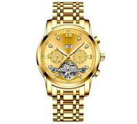 RORIOS Men's Mechanical Wristwatch Tourbillon Automatic Watch Stainless Steel Skeleton Wrist Watch Elegant Diamond Watches for Men Gold