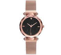 RORIOS Simple Women Wristwatch Shining Starry Sky Dial Analogue Quartz Watches Mesh Band Easily Use Ladies Watch