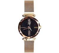 RORIOS Stylish Ladies Watch Beautiful Starry Diamond Dial Mesh Strap Analogue Quartz Women Wrist Watches