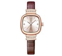 RORIOS Women's Minimalist Watches Small Square Wristwatch Analogue Quartz Watch Ladies Elegant Wrist Watch with Stainless Steel Strap for Women Brown