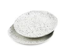roro Handmade Glossy White Speckled 10.5 In Dinner Plates - Set of 2, Artisanal tableware for entree