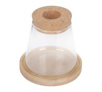 RORPOIR 1 Set Glass Eco Bottle Bud Watering Self Succulent Terrarium Plants House Jar Stand Office Large Pot Vase Cylinder Bulb Outdoor Planter Kit Floral Containers Brown Wooden