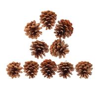 RORPOIR 10pcs Natural Pine Cone Parrot Chewing Bite-resistant Hanging Bird Cage Accessories for Parakeets Cockatiels with Ring Hook 6cm, Practical Foraging and Chew for Pet Birds