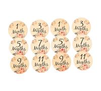 RORPOIR 12pcs Wooden Monthly Discs Double-Sided Signs for Photos Decor Chic Growth Cards for Shower Special Moments