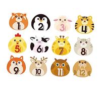 RORPOIR 12sheets Twelve Months Milestone Discs Newborn Stickers for Boys Girls Milestone Nursery Stickers Self-Adhesive Wall Decals for Photo Book