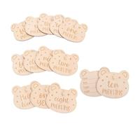 RORPOIR 14pcs Cards Animal Themed Growth Signs for Newborn Photography Capture Monthly Lightweight Beautiful Discs