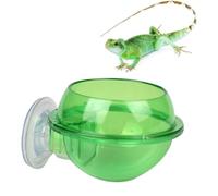 RORPOIR 1pc Small Pet Reptile Feeder Bowl with Suction Cup Abs Water and Food Dish for Lizards Turtles Arachnids Secure Attach Feeding Tool for Tortoise and Small Exotic Pets