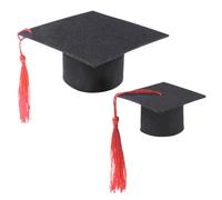 RORPOIR 2pcs Black Felt Graduation Party Hats for Small Animals with Tassel, Easy to Use and Prevent Falling, Stylish Guinea Pig and Dog Accessories for Memorable Moments