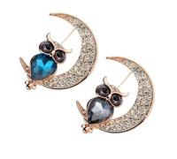 RORPOIR 2pcs Creative Owl Shaped Alloy Brooch Set for Women, Lovely Colorful Oil Droped Clothes Decoration Pins, Portable Carry Accessories for Party and Prom