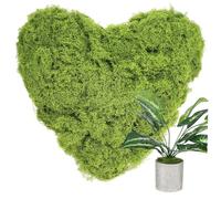 RORPOIR Artificial Moss Faux for Plants Lightweight Decorative Green Strand Moss for Potted Plants Crafts Terrariums Home and Garden Décor