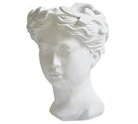 RORPOIR Goddess Head Flower Pot Resin Statue Vase for Home Office Decorative Art Planter Vase for Plant Pots