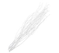 RORPOIR Natural Birch Tree Branches for Decoration 50cm White Dried Twigs Bundle 10pcs Household Dried Twig Decor for Vase Floral Arrangements and Home Art Display