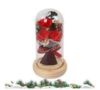 Ros-e Under Glass - Handmade Preserved Flower Ros-e In Glass Dome With Led Lights, Artificial Forever Roses In Glass Dome For, Valentine's Day - Red