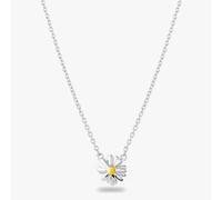 Rosa Lea Daisy Necklace AM-2THB028206
