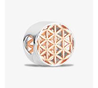 Rosa Lea Geometric Triangles Charm AM-2THB014306