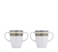 Rosa Lifestyle Set of 2 Double Handed Mugs LILAC