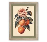 Rose and Fruit Study Botanical Framed Wall Art Print A2 (59.4×42cm) Oak, Wall Decor for Living Room, Bedroom, Office & Home, Ready to Hang, Art Gift
