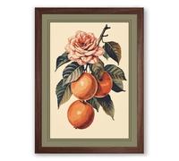 Rose and Fruit Study Botanical Framed Wall Art Print A3 (42×29.7cm) Walnut, Wall Decor for Living Room, Bedroom, Office & Home, Ready to Hang, Art Gift