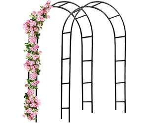Rose Arch 2Pcs Set Black 240x140x37cm