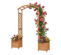 rose arch, garden arch, trellis, archway, climbing support, planter