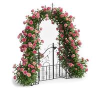 rose arch, garden arch, trellis, rose support, archway, steel gate