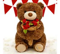 Rose Bear, Teddys 22Cm Rose Teddy Bear for Girlfriend Small Teddy Bears Valentines Gifts for Her, Cute Teddyes Valentines, Soft Plush Flower Bears Romantic Gifts Her Suitable