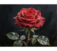 Rose Botanical Paint by Numbers for Adults Beginners, Adult Paint by Numbers Canvas Kits, DIY Acrylic Painting by Number, Creative Hobby for Women, Wall Art Home Decor Unique Gifts 20x28in YT6-866