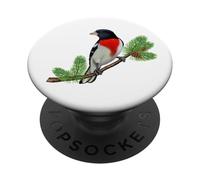 Rose-Breasted Grosbeak On Branch Birder & Bird Lover Design PopSockets Adhesive PopGrip