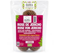 Rose by Jericho Chajarat