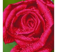 Rose Dew - Diamond Painting Kit: Rose Dew - Diamond Dotz