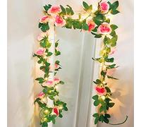 Rose Fairy String Lights, Artificial Flower Garland with LED Copper Wire Light Strings, Rose Vine Lights, Decoration for Christmas, Wedding, Bouquets, Party, Main Window (USB Powered, Champagne)