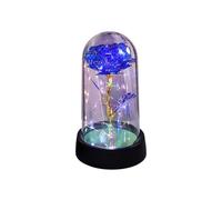 Rose Flower Enchanted Rose in Plastic Dome with LED Lights, Mom Womens Gifts for Christmas Valentines Mothers Day, Anniversary Birthday Gifts for Wife Girlfriend Grandma (C)