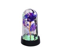 Rose Flower Enchanted Rose in Plastic Dome with LED Lights, Mom Womens Gifts for Christmas Valentines Mothers Day, Anniversary Birthday Gifts for Wife Girlfriend Grandma (A)