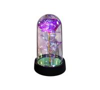 Rose Flower Enchanted Rose in Plastic Dome with LED Lights, Mom Womens Gifts for Christmas Valentines Mothers Day, Anniversary Birthday Gifts for Wife Girlfriend Grandma (B)