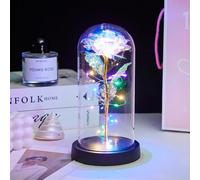 Rose Flower Gifts for Women, Forever Preserved Flowers Light Up Roses Flowers in Glass Dome, Colorful Eternal Artificial Flower Rose Mom Gifts for Her,Wife,Valentine's Day,Anniversary