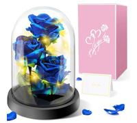 Rose Flower Gifts Mother's Day Present for Women, Light Up Artificial Flower Gift-Premium Rose Flower, Eternal Rose in Glass with Lights, for Mom Grandmother Grandma for Birthday, Anniversary