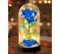 Rose Flower Gifts Valentines Day Present for Women, Light Up Artificial Flower Gift-Premium Rose Flower, Eternal Rose in Glass with Lights, for Mom Grandmother Grandma for Birthday, Anniversary