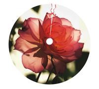 Rose Flower Printed Christmas Tree Skirt 30 inch Xmas Tree Skirts Mat for Christmas Decoration Indoor Outdoor Ornaments