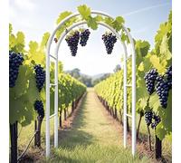 Rose Garden Arch for Climbing Plants Trellis Support 230cm Garden for Outdoor & Indoor Wedding Dets White W1.4 x H2.30m Steel e