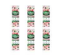 Rose Garden Concentrated Multipurpose Disinfectant, Kills 99.9% Viruses and Bacteria, 250ml, Pack of 6