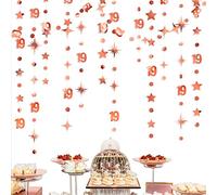 Rose Gold 19th Birthday Decorations Number 19 Circle Dot Star Garland Streamer Bunting Banner Backdrop for Girls Nineteen Year Old Birthday 19 and Fabulous Happy 19th Anniversary Party Supplies