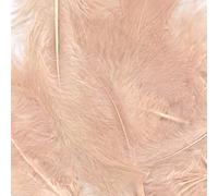 Rose Gold 1st Grade Eleganza Craft Marabout Feathers Mixed sizes 3"- 8" 8g pack