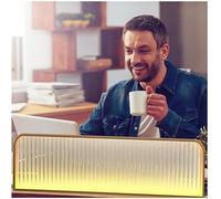 Rose Gold LED Light Strip Glass Partition Convex Tempered Glass Divider for Dining Areas Open Restaurants & Bars (80x25cm) Modern Decor & Space Optimization