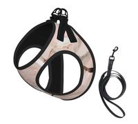 Rose Gold Marble Print Pet Leash Vest,Breathable Mesh Pet Harness, Reflective For Small Medium Dogs Safe Easy Walking