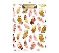 Rose Gold Owl A4 clipboard for Girls Transparent for 5th Grade Classroom Essentials for Teachers Size 9 x 12