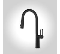 Rose Gold Pull-Down Kitchen Faucet - 360° Swivel Spray Head - Single Hole - Modern Design - Black Finish - Ideal for Home & Commercial Use