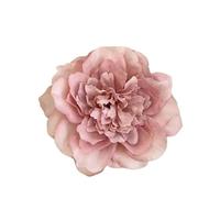 Rose Hair Clip 2pcs Retro Red Rose Hair Clip Vintage Holiday Style Big Flower Bangs Side Clip Party Beach Hair(FZ)