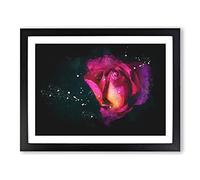 Rose In Pink & Purple Paint Splash Modern Art Framed Wall Art Print, Ready to Hang Picture for Living Room Bedroom Home Office Décor, Black A2 (64 x 46 cm)