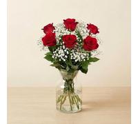 Rose Kiss Fresh Cut Flower Gift Bouquet, 6 Red Roses, 8 Stems